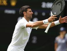 PG电子官网入口-温网逆转拉沃尔杯，德约科维奇带队取胜